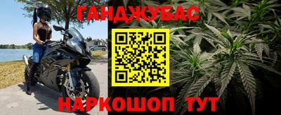 Альфа ПВП Новодвинск