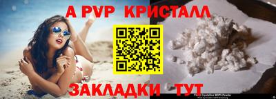 Альфа ПВП Новодвинск